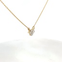  RD SIXP0031P (WITH CHAIN)