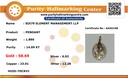 RD SIXP0056P (WITHOUT CHAIN)
