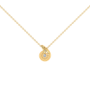 AL1ZEC1PD025.5.yellow
