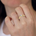 RDRN11225.2.yellow