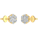 RDER00054.1.yellow