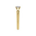 RDRN11225.5.yellow