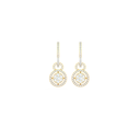 Earring AEB1005