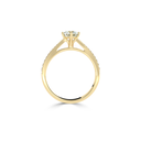 R3706.5.yellow