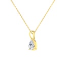 SIXPN16(C) (Without Chain)