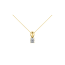 SIXPN13(B) (Without Chain)
