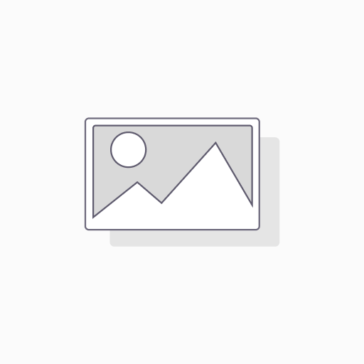 RD SIXLBR0035P(1)(SILVER)